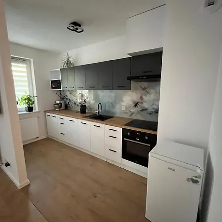 Apartament Koncertowa *
